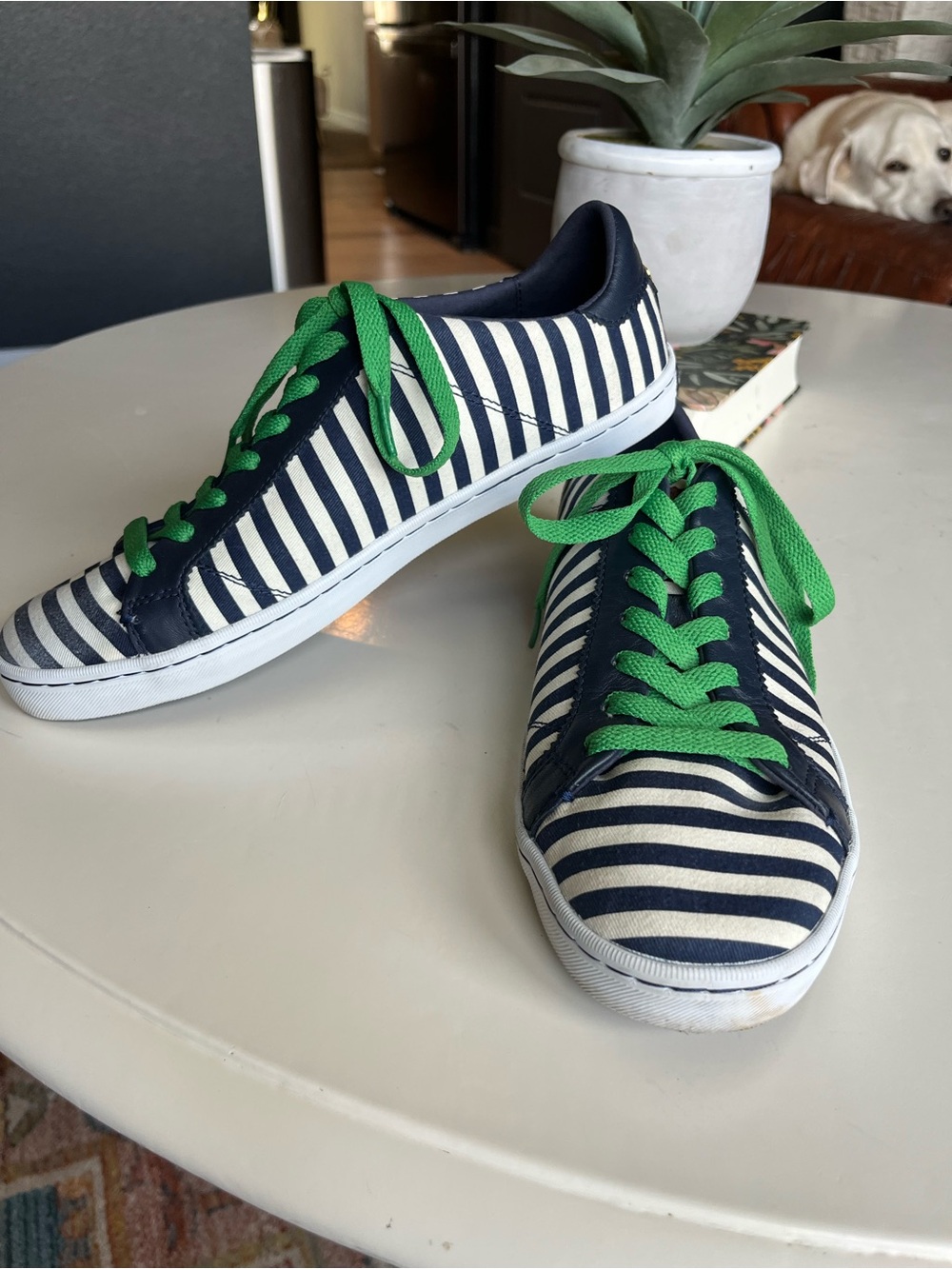 ⚓ Cole Haan Navy & Cream Striped Canvas Sneakers — Green Lace Pop size 9.5